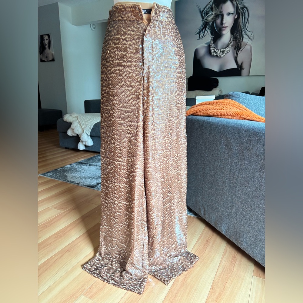 Zara beige Sequin Pants